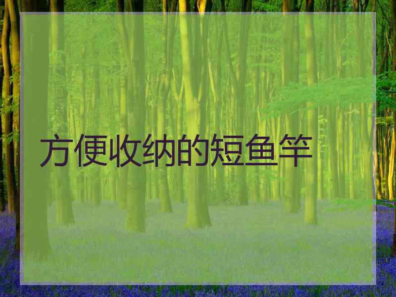 方便收纳的短鱼竿