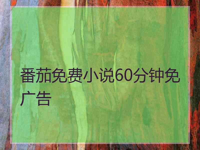 番茄免费小说60分钟免广告