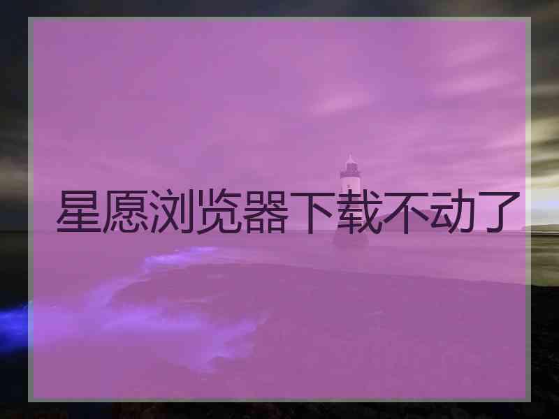 星愿浏览器下载不动了
