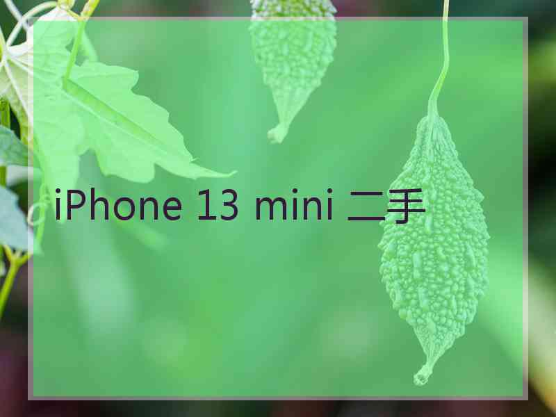 iPhone 13 mini 二手