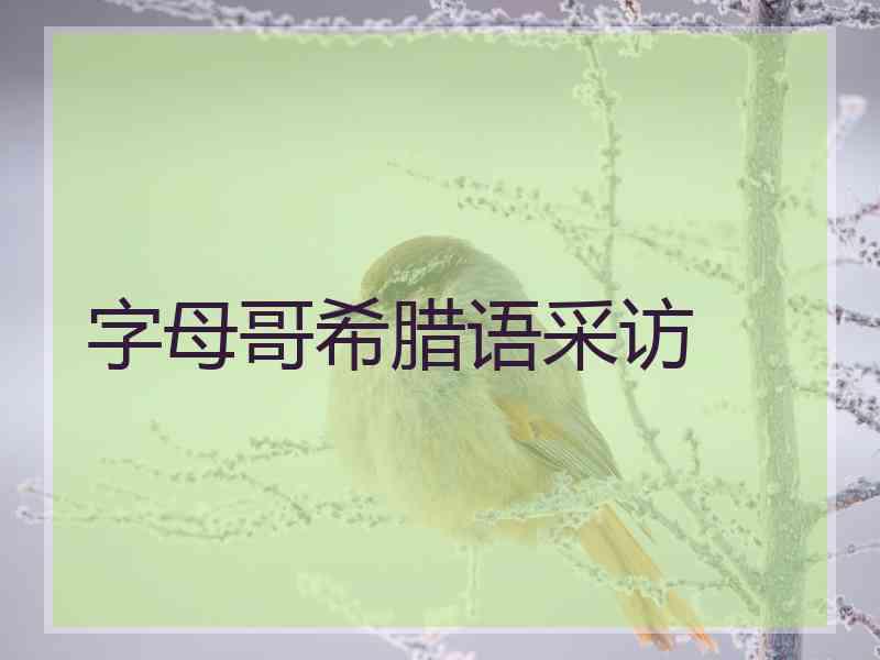 字母哥希腊语采访