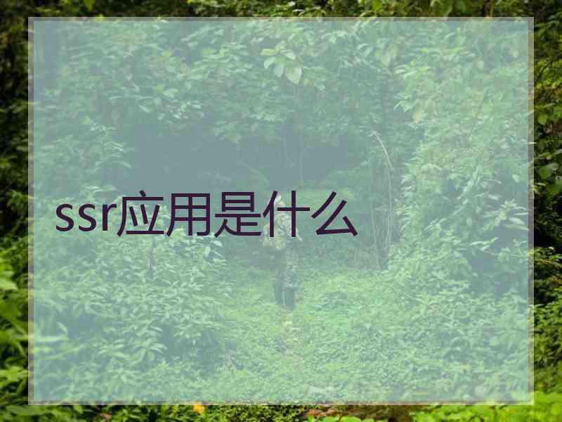 ssr应用是什么