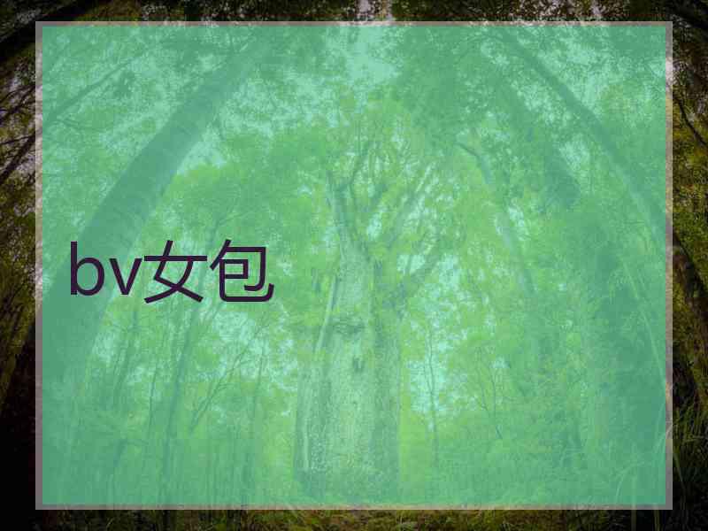 bv女包