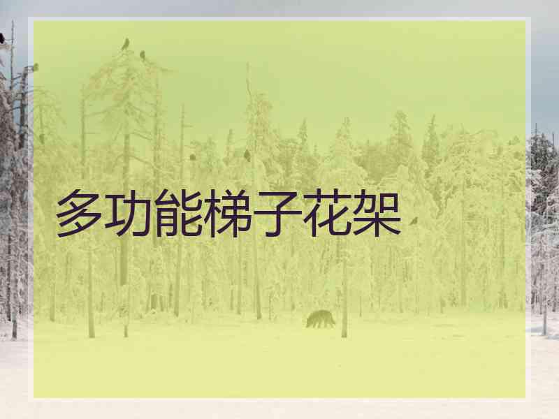 多功能梯子花架