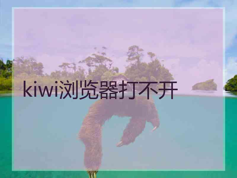 kiwi浏览器打不开