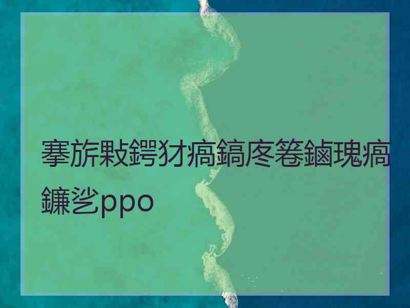 搴旂敤鍔犲瘑鎬庝箞鏀瑰瘑鐮乷ppo