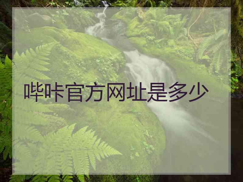 哔咔官方网址是多少