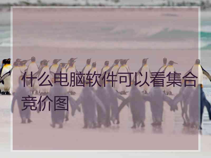 什么电脑软件可以看集合竞价图