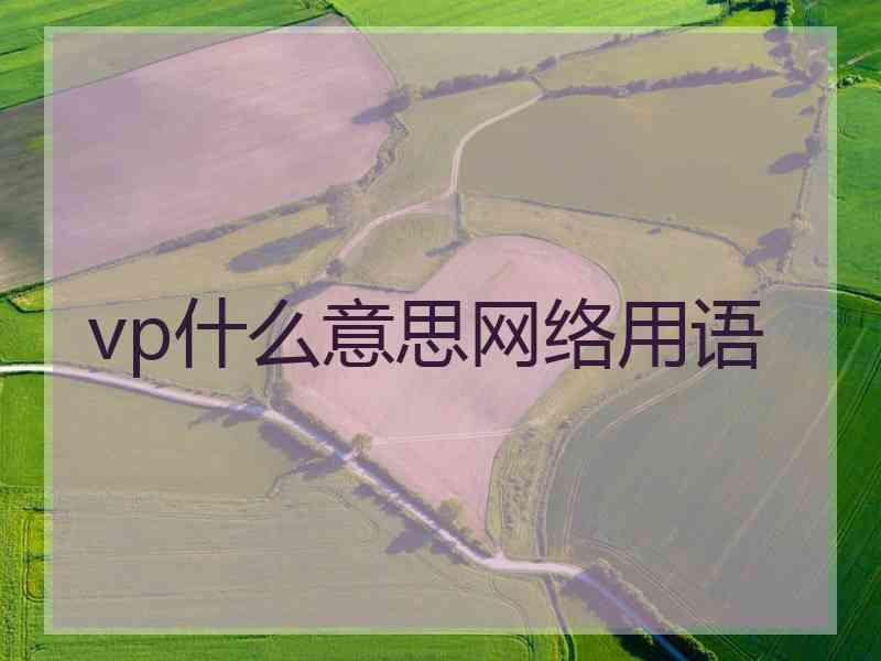 vp什么意思网络用语