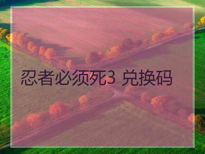忍者必须死3 兑换码