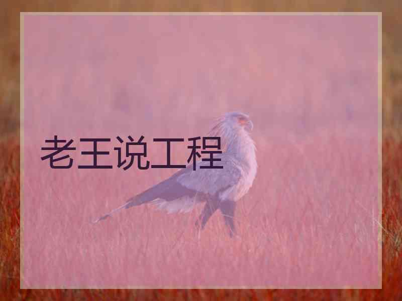 老王说工程