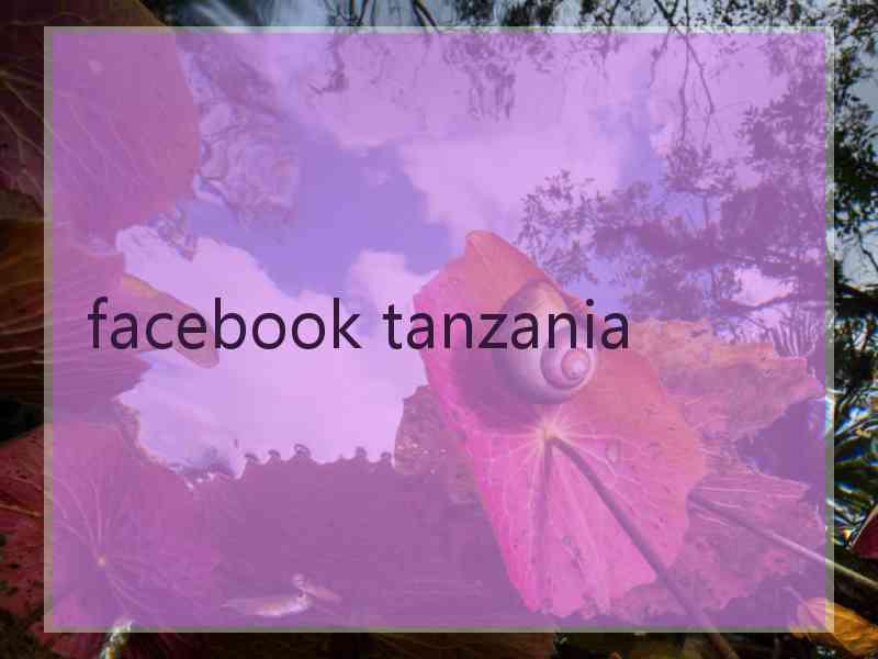 facebook tanzania
