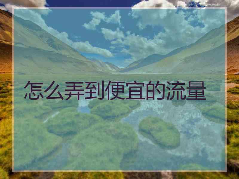 怎么弄到便宜的流量