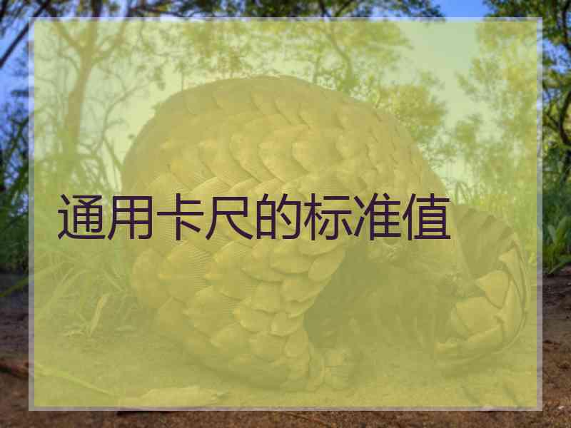 通用卡尺的标准值