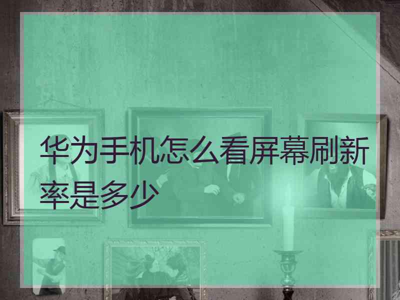 华为手机怎么看屏幕刷新率是多少