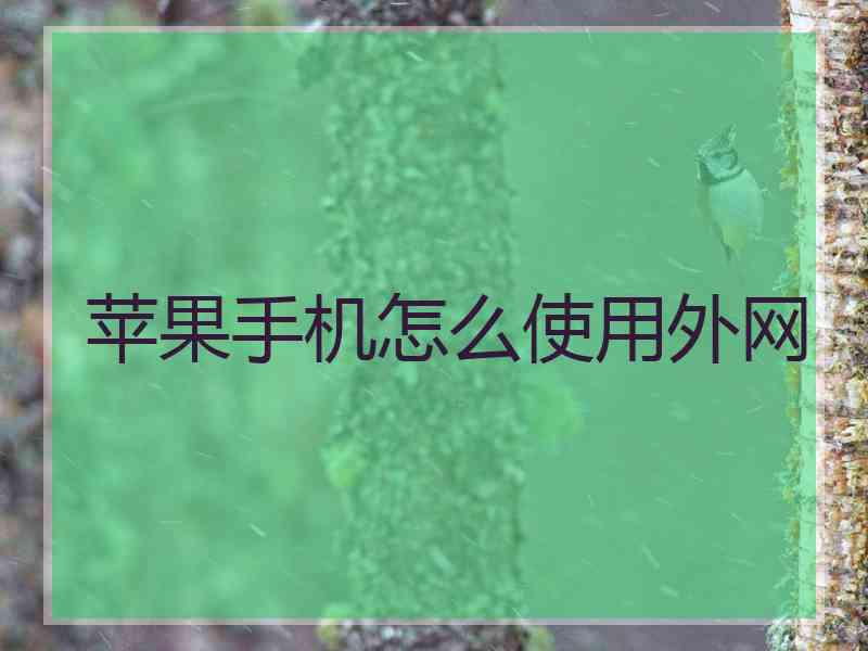 苹果手机怎么使用外网