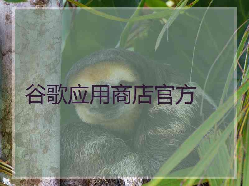 谷歌应用商店官方