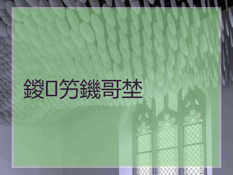 鍐竻鐖哥埜