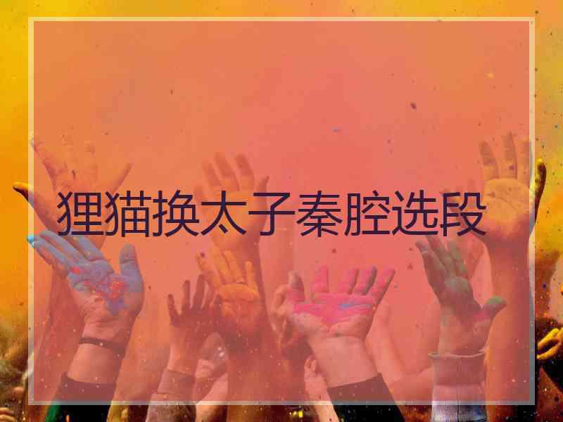 狸猫换太子秦腔选段