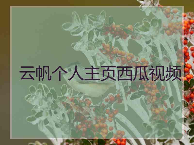 云帆个人主页西瓜视频