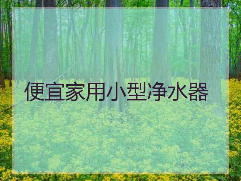 便宜家用小型净水器