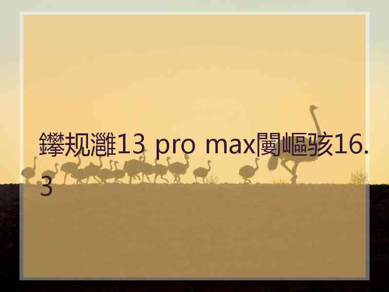 鑻规灉13 pro max闄嶇骇16.3