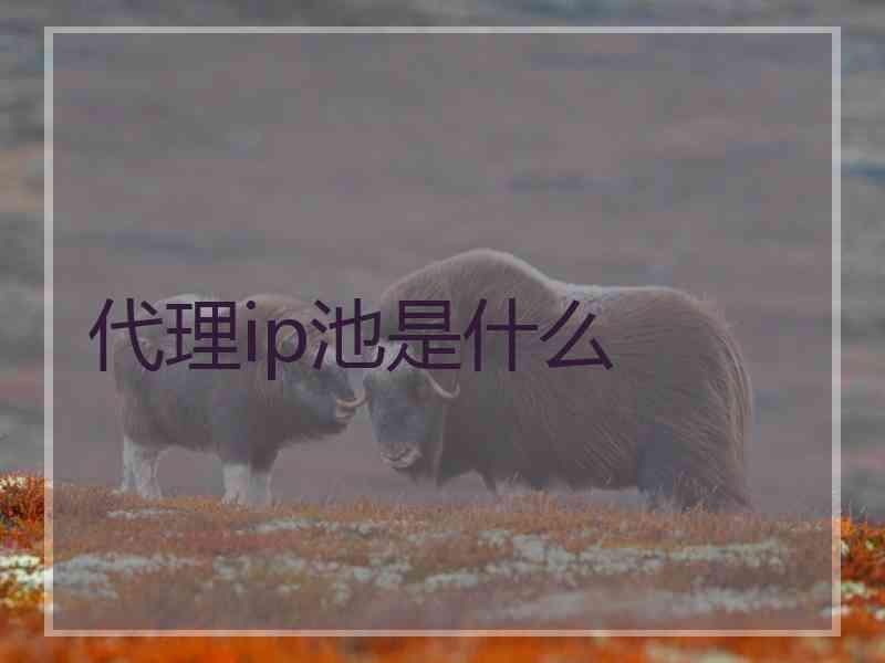 代理ip池是什么