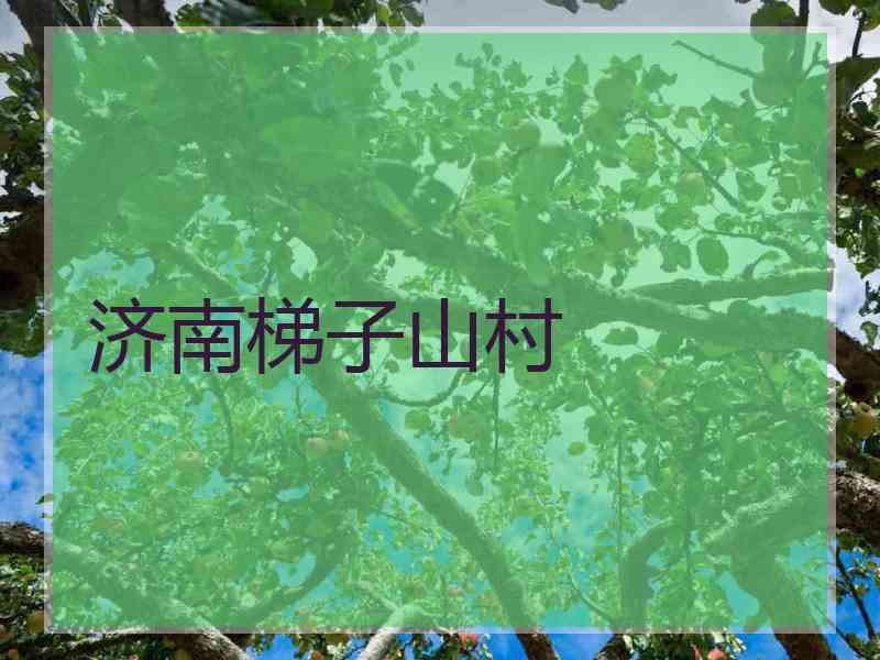 济南梯子山村