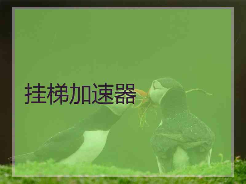 挂梯加速器
