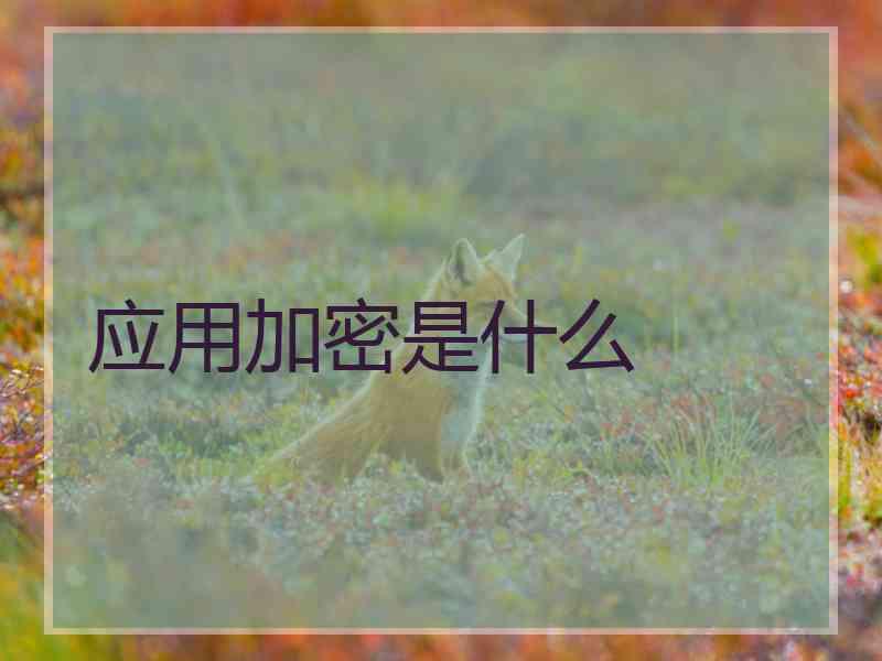 应用加密是什么