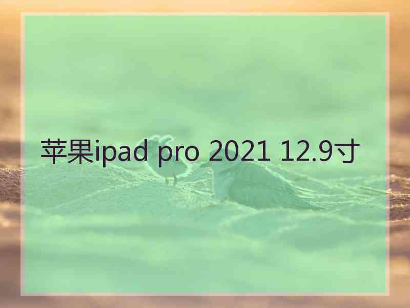 苹果ipad pro 2021 12.9寸