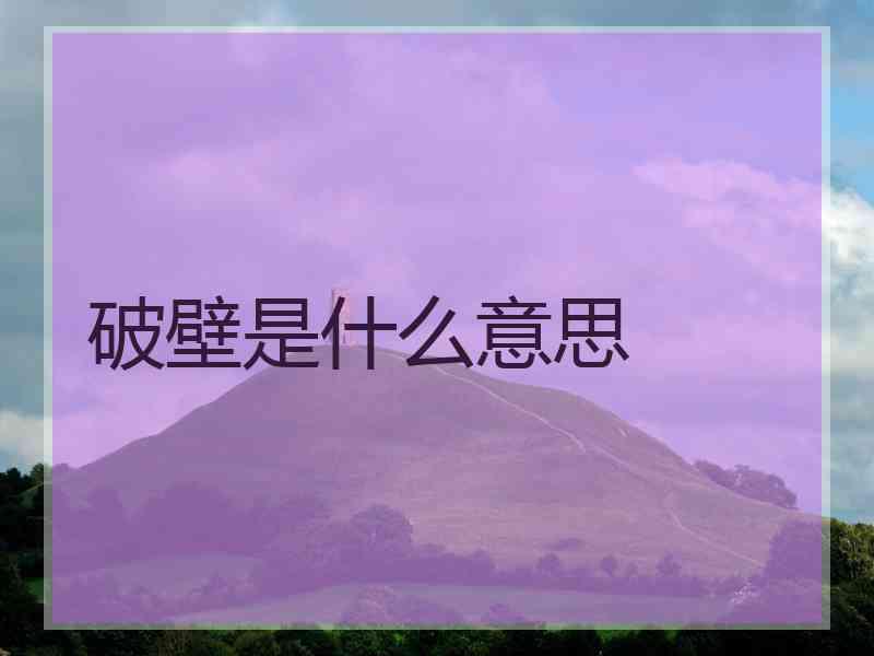 破壁是什么意思