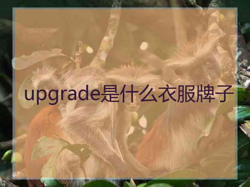 upgrade是什么衣服牌子