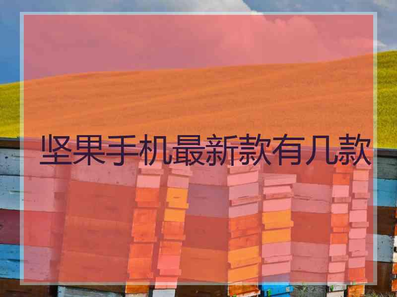 坚果手机最新款有几款
