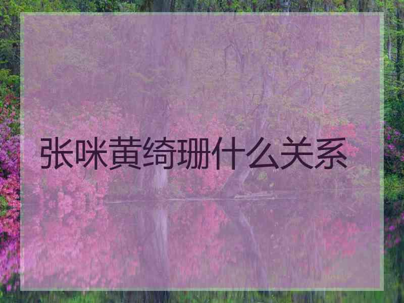 张咪黄绮珊什么关系