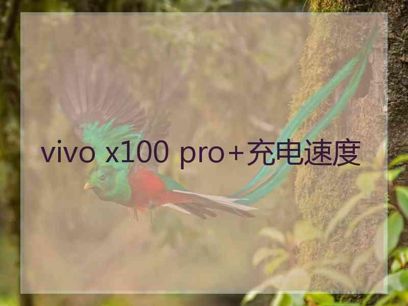 vivo x100 pro+充电速度