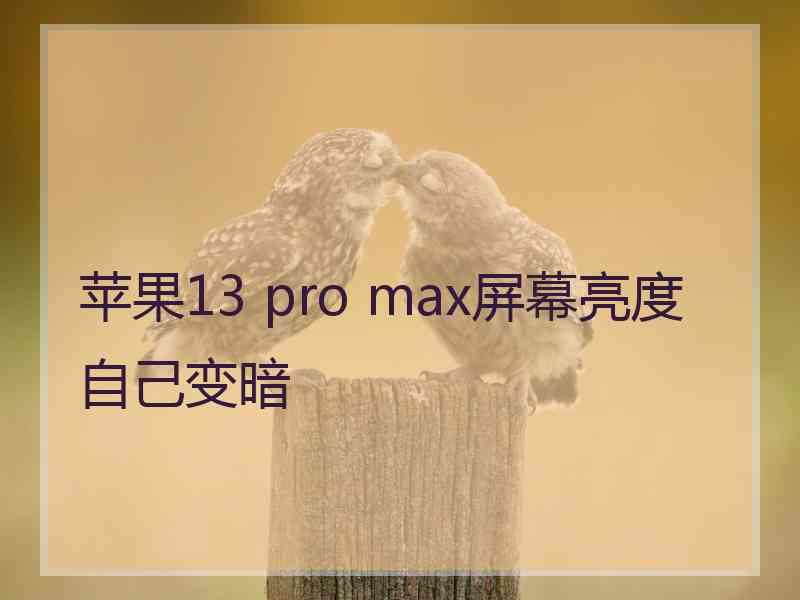 苹果13 pro max屏幕亮度自己变暗