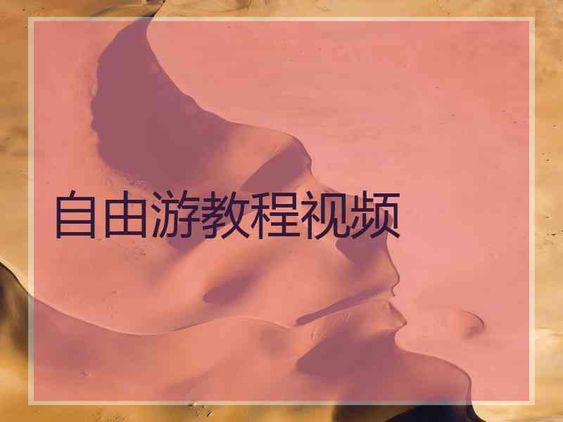 自由游教程视频