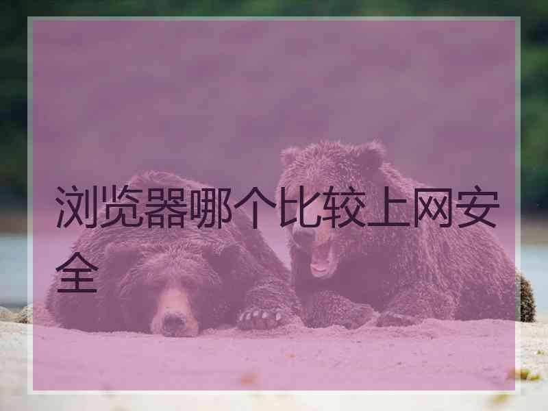 浏览器哪个比较上网安全