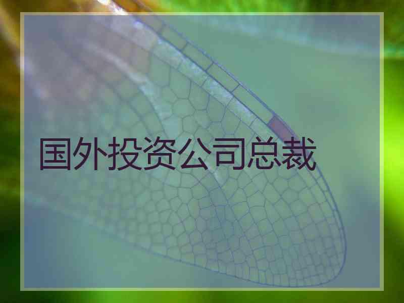 国外投资公司总裁