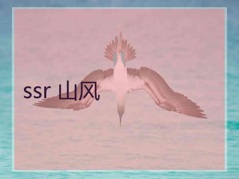 ssr 山风
