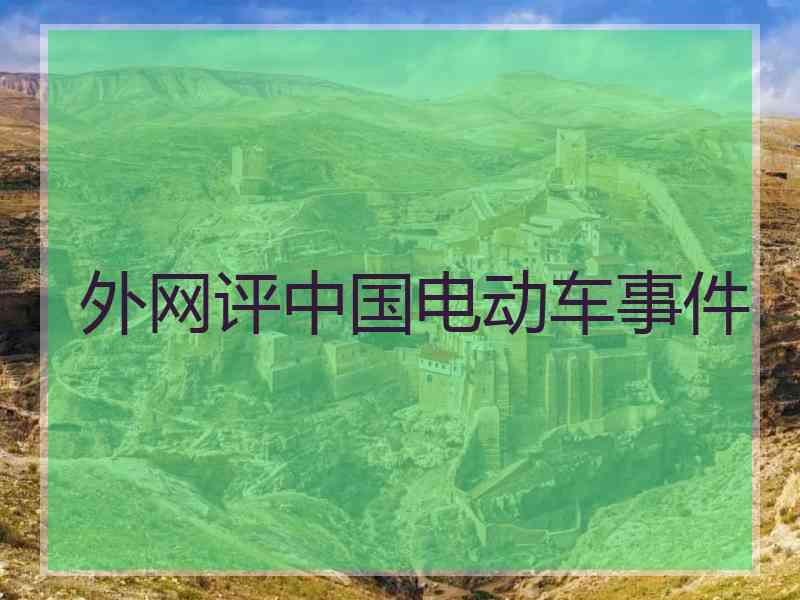 外网评中国电动车事件