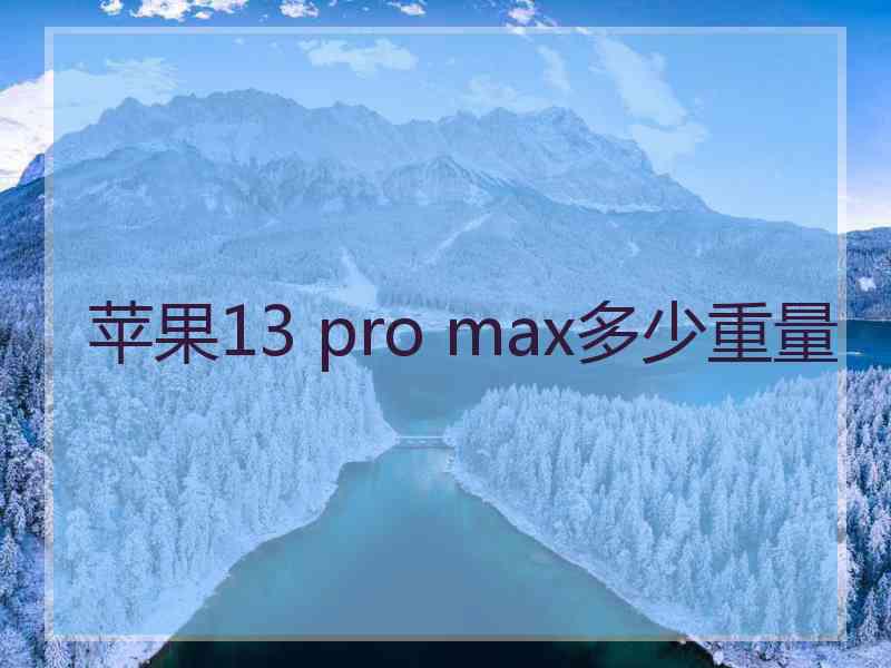 苹果13 pro max多少重量
