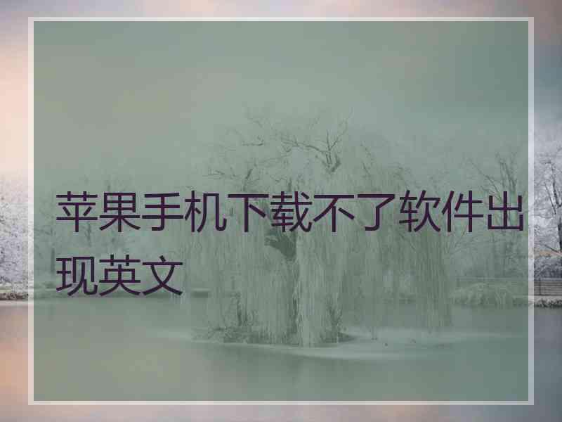 苹果手机下载不了软件出现英文