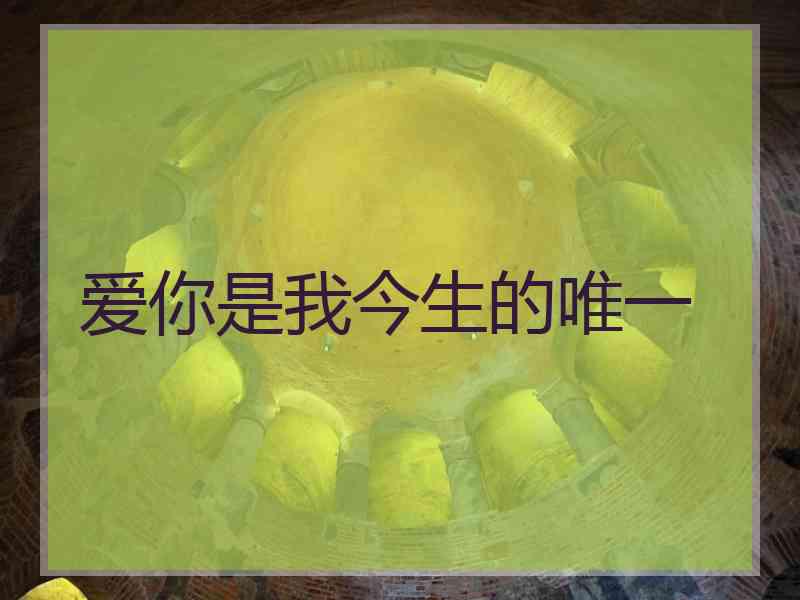 爱你是我今生的唯一