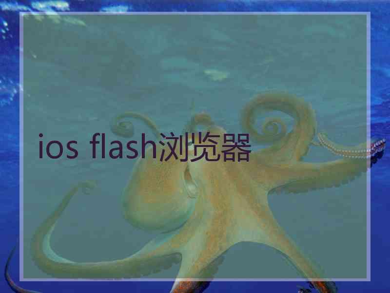 ios flash浏览器
