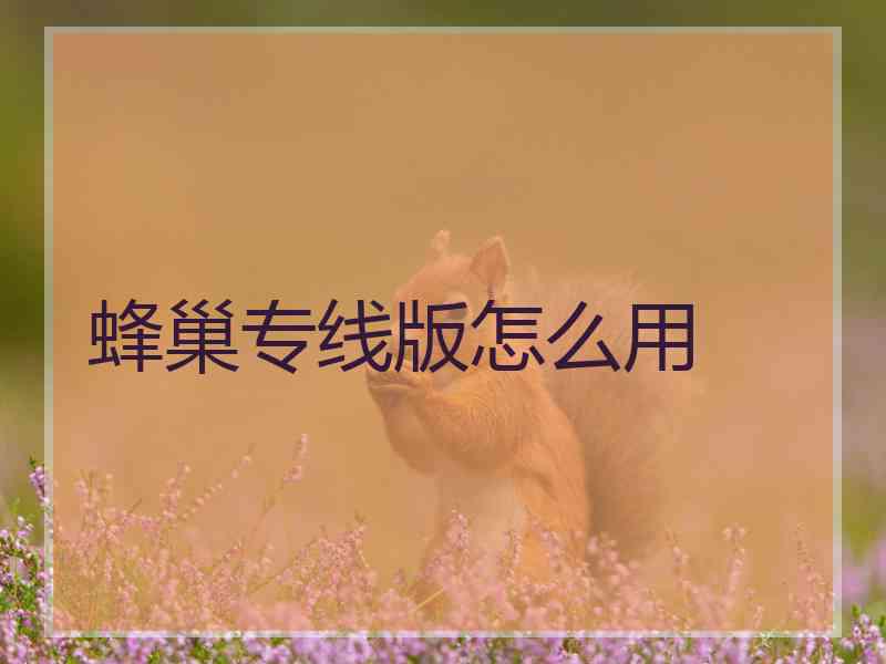 蜂巢专线版怎么用