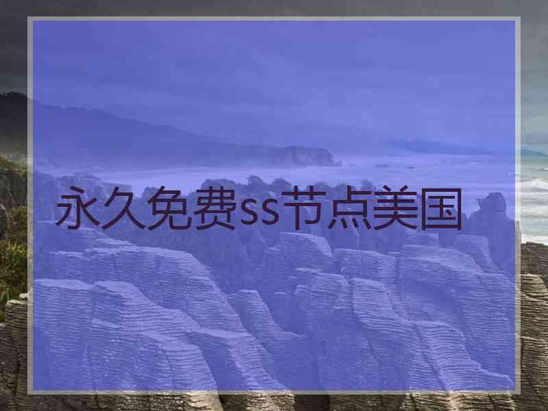 永久免费ss节点美国