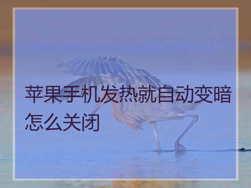 苹果手机发热就自动变暗怎么关闭