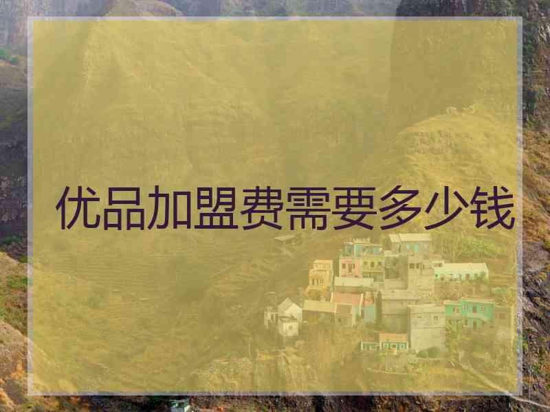 优品加盟费需要多少钱